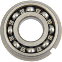 BEARING BAL SHAFT R 8991