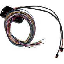 CAN-BUS CONTROLLER FOR CUSTOM HANDLEBAR SWITCHES BAGGER ONLY