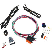 Ignition Harness - Twin Cam