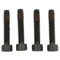  10-24 x 1" Torx Stator Mounting Screws Pack of 4 