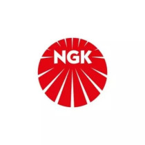 NGK SPARK PLUGS